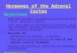 Hormones of the Adrenal Cortex