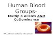 Human Blood Groups- Multiple Alleles  AND  CoDominance
