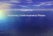 Chapter 04 Assessing Cardiorespiratory Fitness