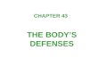 CHAPTER 43 THE BODY’S DEFENSES