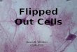 Flipped  Out  Cells