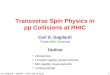 Transverse Spin Physics in pp Collisions at RHIC