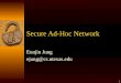 Secure Ad-Hoc Network