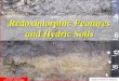 Redoximorphic Features and Hydric Soils