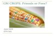 GM CROPS: Friends or Foes?