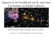 Impact of Jet Feedback on H 2  and Star Formation in Radio Galaxies