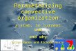 Parameterizing convective organization a stab, in current CAM and why