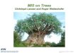 MIS on Trees Christoph Lenzen and Roger Wattenhofer