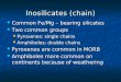 Inosilicates  (chain)