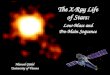 The X-Ray Life of Stars: Low-Mass and Pre-Main Sequence
