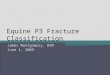 Equine P3 Fracture Classification