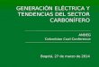 GENERACIÓN ELÉCTRICA Y TENDENCIAS DEL SECTOR CARBONÍFERO