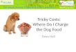 Tricky  Costs:    Where  Do I Charge the Dog  Food