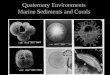 Quaternary Environments Marine Sediments and Corals