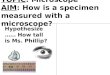 TOPIC : Microscope AIM : How is a specimen measured with a microscope?