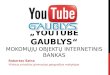 „ Youtube  GAUBLYS“ mokom ų jų  objektų internetinis bankas