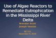 Use of Algae Reactors to Remediate  Eutrophication  in the Mississippi River Delta