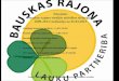 Ziņojums Bauskas rajona vietējās attīstības stratēģijas 2009-2013 realizācija uz 01.03.2013