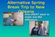 Alternative Spring Break Trip to New Orleans