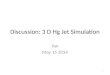 Discussion: 3 D Hg Jet Simulation