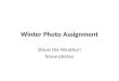 Winter Photo  Assignment