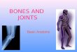 BONES AND  JOINTS