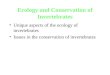 Ecology and Conservation of Invertebrates