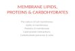 MEMBRANE LIPIDS, PROTEINS & CARBOHYDRATES