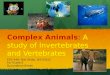 Complex Animals :  A study of Invertebrates and Vertebrates