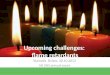 Upcoming challenges:  flame retardants