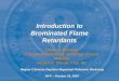 Introduction to Brominated Flame Retardants