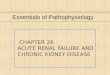 Chapter 26 Acute  Renal Failure and Chronic Kidney Disease