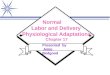 Normal       Labor and Delivery Physiological Adaptations Chapter 17