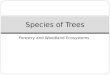 Species of Trees