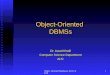 Object-Oriented DBMSs