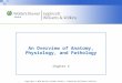 An Overview of Anatomy, Physiology, and Pathology