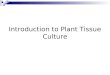 Introduction to Plant Tissue Culture