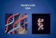 Nucleic acids DNA