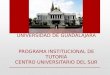 UNIVERSIDAD DE GUADALAJARA PROGRAMA INSTITUCIONAL DE TUTORA CENTRO UNIVERSITARIO DEL SUR