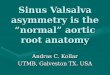 Sinus Valsalva asymmetry is the “normal” aortic root anatomy