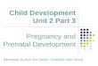 Child Development Unit 2 Part 3 Child Development Unit 2 Part 3