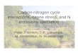 Carbon-nitrogen cycle interactions, ozone stress, and N emissions speciation
