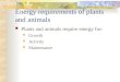 Energy requirements of plants and animals