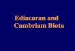 Ediacaran and    Cambriam Biota