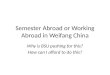 Semester Abroad or Working Abroad in  Weifang China
