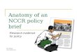 Anatomy of an NCCR policy brief