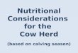 Nutritional Considerations  for the   Cow Herd