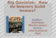 Big Question:  How do beavers build homes?