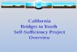 California Bridges to Youth  Self-Sufficiency Project Overview