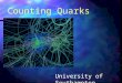 Counting Quarks